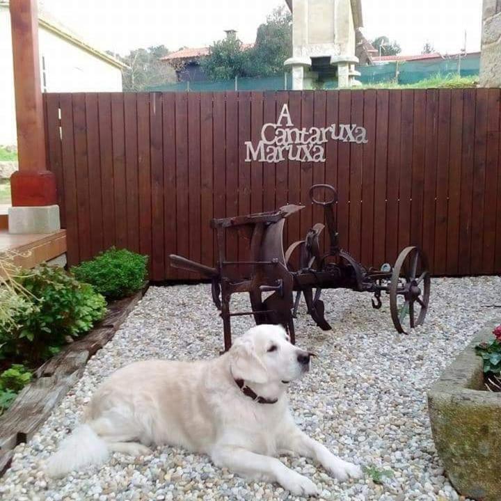 A Cantaruxa Maruxa Turismo Rural Mondariz Εξωτερικό φωτογραφία