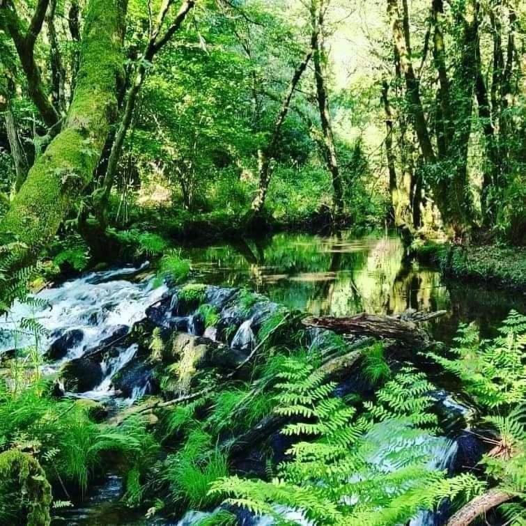 A Cantaruxa Maruxa Turismo Rural Mondariz Εξωτερικό φωτογραφία