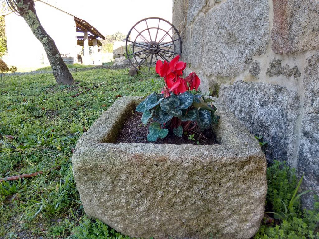 A Cantaruxa Maruxa Turismo Rural Mondariz Εξωτερικό φωτογραφία