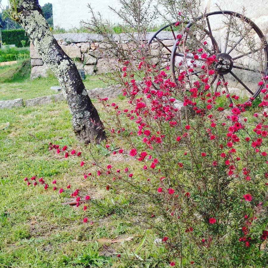 A Cantaruxa Maruxa Turismo Rural Mondariz Εξωτερικό φωτογραφία
